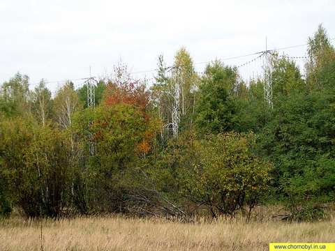 http://www.cripo.com.ua/0312/chernobyl_2_m13.jpg