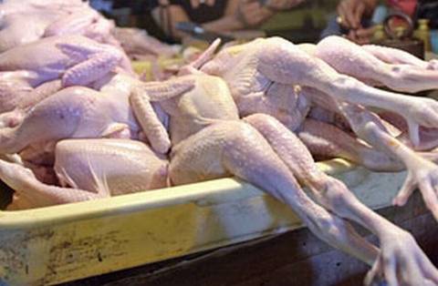 В Киев везли зараженную инфекцией курятину