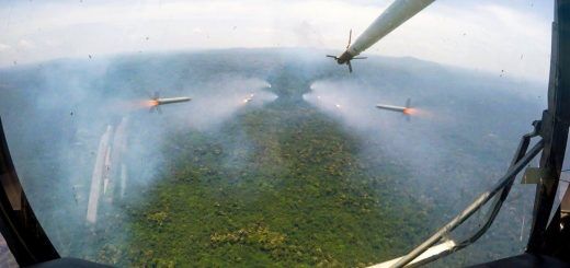 Жало скорпіона: як українці воюють з бойовиками у джунглях Демократичної Республіки Конго