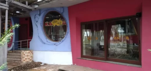 Тенісні корти спортивного комплексу "Локомотив" неподалік від "Олімпійського" заросли чагарником у людський зріст.