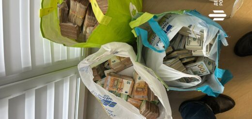 Ниточки «лісової» корупції завели аж в Офіс Президента