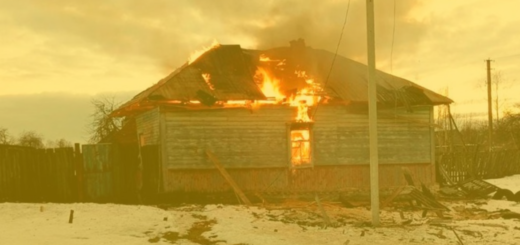 фото: Поліція Чернігівської області