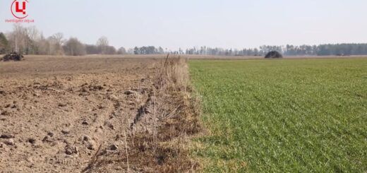 В окупованому Криму пограбування українського бізнесу і майна набрал колосальних масштабіво