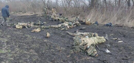Трудівське під Волновахою