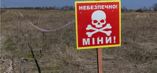 Як розміновують поля Херсонщини: темпи, ризики, не отримані кошти
