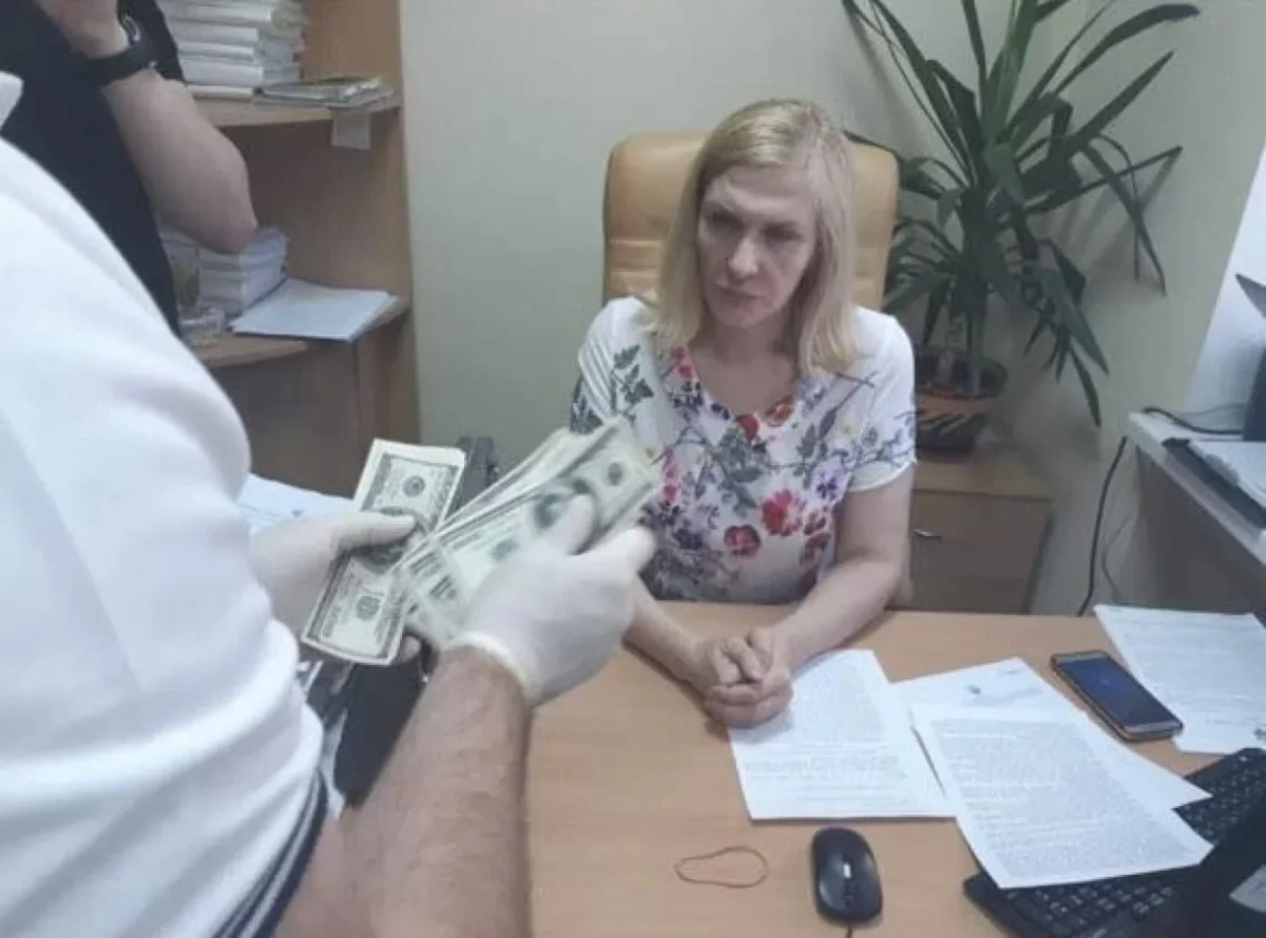 «Ви хоч би в конвертик засунули». Як судили за корупцію суддю "вовчого суду" Олену Власенкову