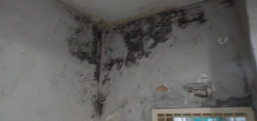 Звіт за результатами моніторингового візиту до Бердичівської виправної колонії №70
