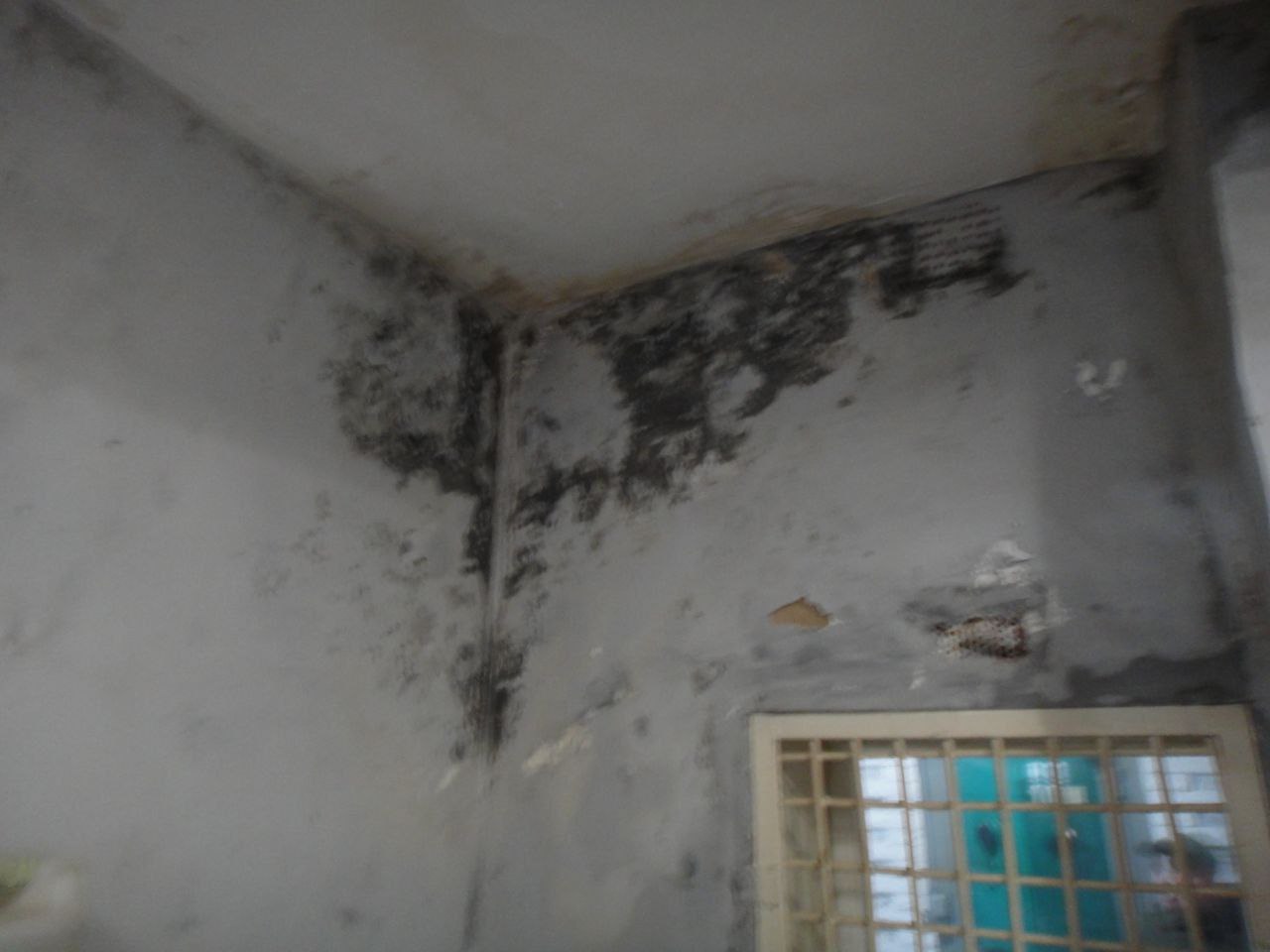 Звіт за результатами моніторингового візиту до Бердичівської виправної колонії №70