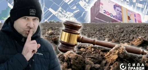 Триста аукціонів та три тисячі гектарів у руках технічних учасників під керівництвом хапуг