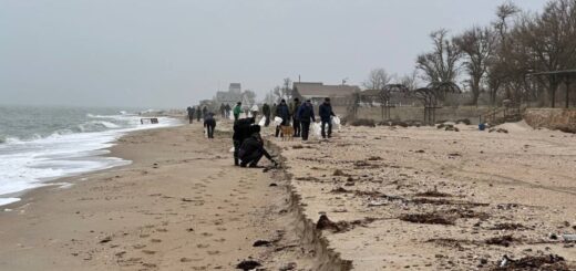 Воєнні злочини проти довкілля — що це й як притягнути Росію до відповідальності? 