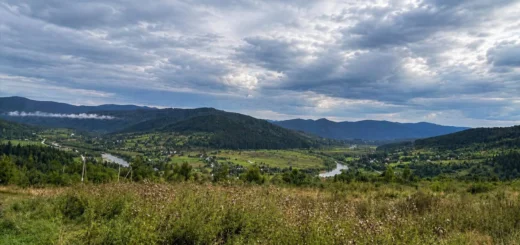 як гектари під Східницею розійшлися по потрібних руках