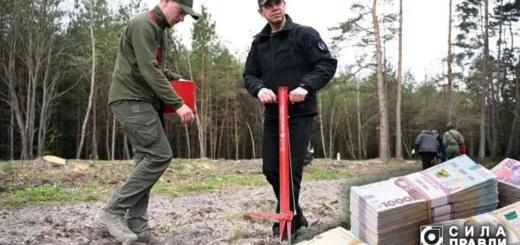 Як посадовці ДП Ліси України створили родинний бізнес на саджанцях та фірмах-одноденках