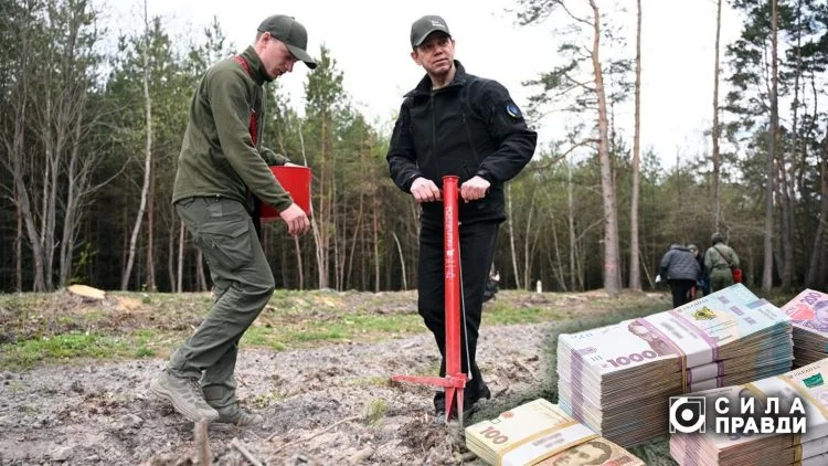 Як посадовці ДП Ліси України створили родинний бізнес на саджанцях та фірмах-одноденках