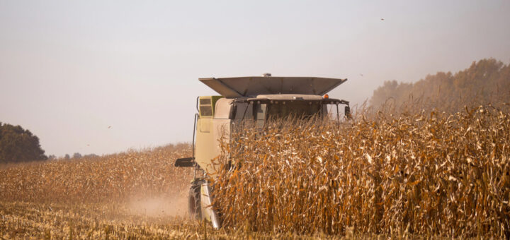 фото: depositphotos.com