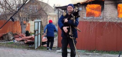 Будинок Юрія Марчука розбомбили росіяни