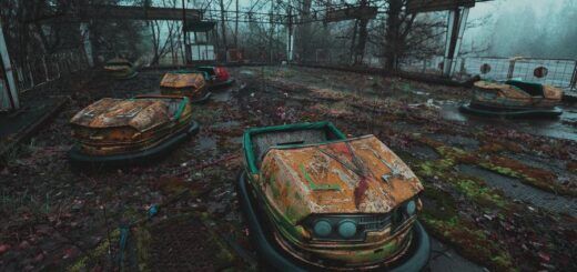Фото: Игорь Хомич