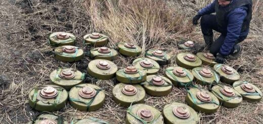 «Десятки тисяч гектарів лісу знищені»: як війна вплинула на довкілля Харківщини