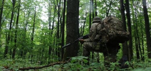 Як влаштований партизанський рух на окупованих російськими загарбниками територіях