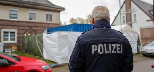 Как ловят педофилов в Германии