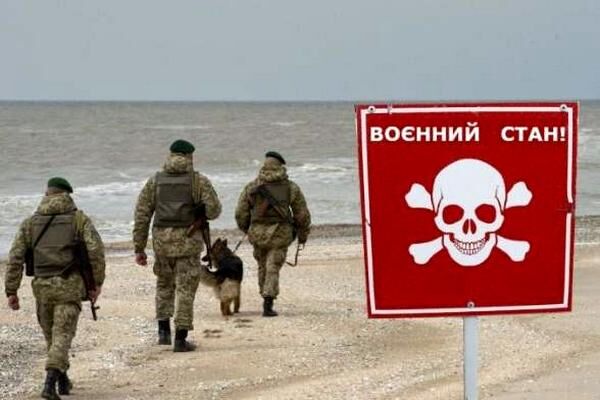 Новая реальность