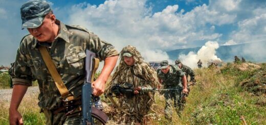 Территориальная оборона Украины: лучше как в Польше или как в Эстонии?
