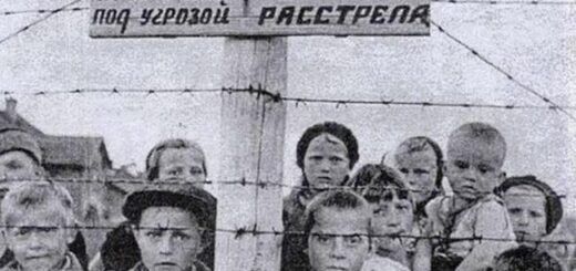 Преступления «красного террора»
