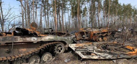 Розбита техніка рашистів в українському лісі фото: BBC