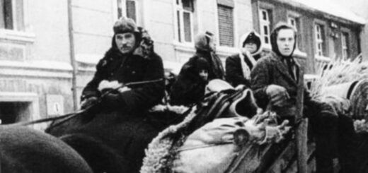 “Ну почему я родилась девочкой?”. Насилие освобождением