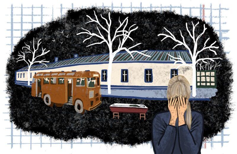 Иллюстрации: Арина Андрианова