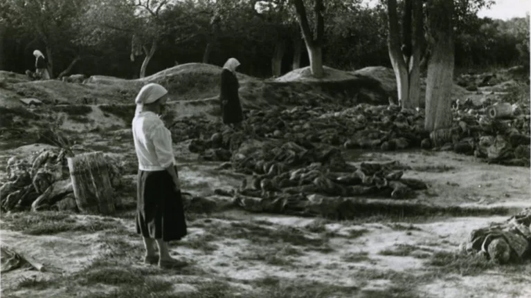 Во время эксгумации тел в Виннице, 1943 год. Фото: www.vin.gov.ua