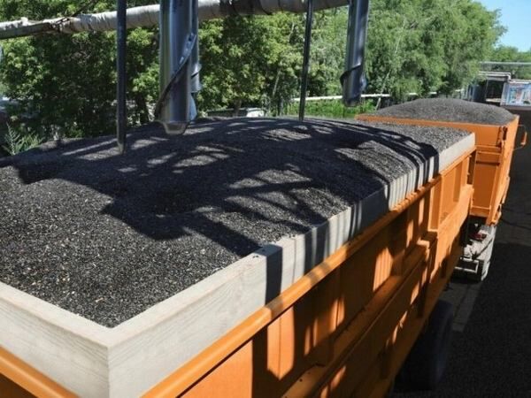 Не лише зерно - як Росія мародерить з України соняшник