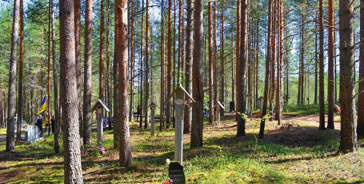 Фото: Ростислав Камеристов, Отраслевой государственный архив СБУ | ЛЕС КАЗНИ. Столбцы-голубцы на месте расстрельных ям в Сандармохе
