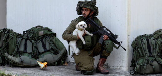 Фота: RONEN ZVULUN / Reuters / Forum