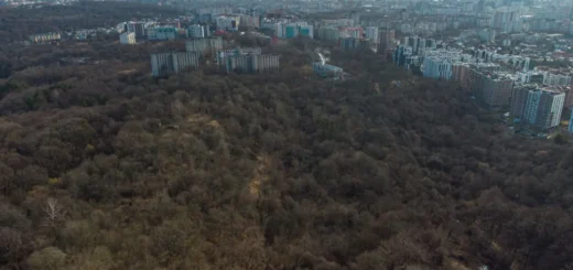 фото НГЛ