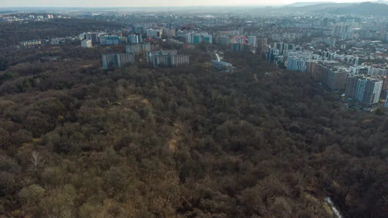 фото НГЛ