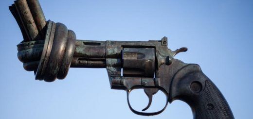 Печальный зарубежный опыт массовых расстрелов людей из легально приобретенного оружия (как в США, Норвегии, так и РФ) свидетельствует о том, что как раз ружья и винтовки являются наиболее опасными в этом плане. В действующем на сегодня законодательстве нет ограничений по количеству единиц оружия, которые может купить один гражданин.
