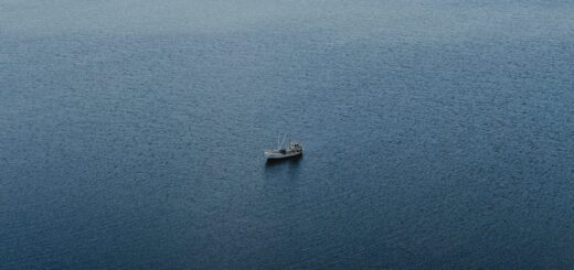Как Россия легализует кражу украинских судов в MarineTraffic