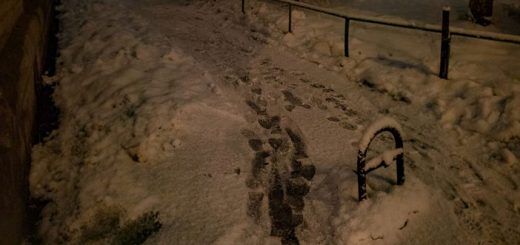 Откуда берутся серийные убийцы: где полиция прячет трупы