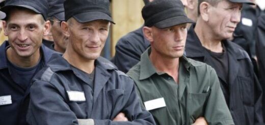 Что общего у талибов, жестоких банд Сальвадора и российских военных